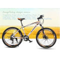 Ly-035 26 Inch High Quality Mountain Bicycle Mountain Bike MTB